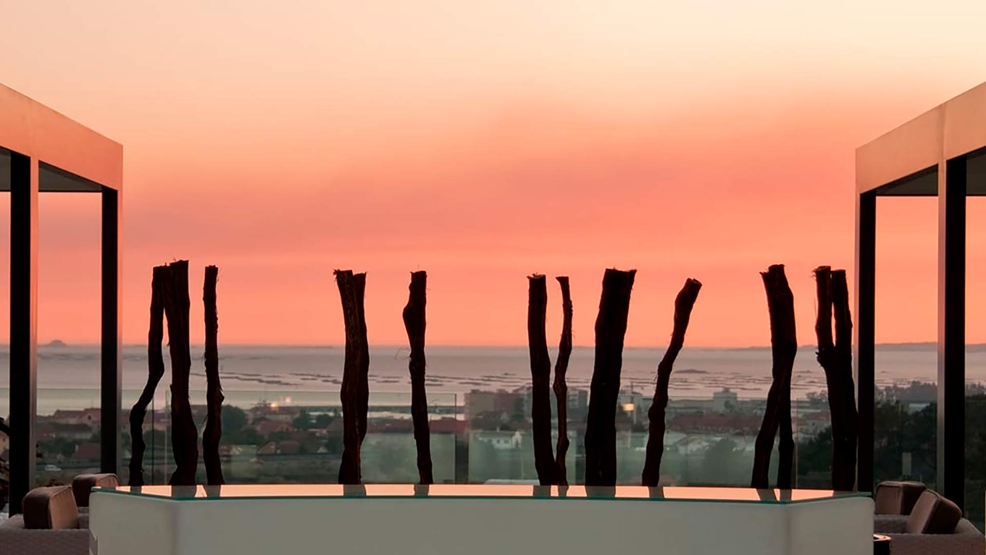 Visita a las bodegas de Martín Codáx | Walking Eating Galicia